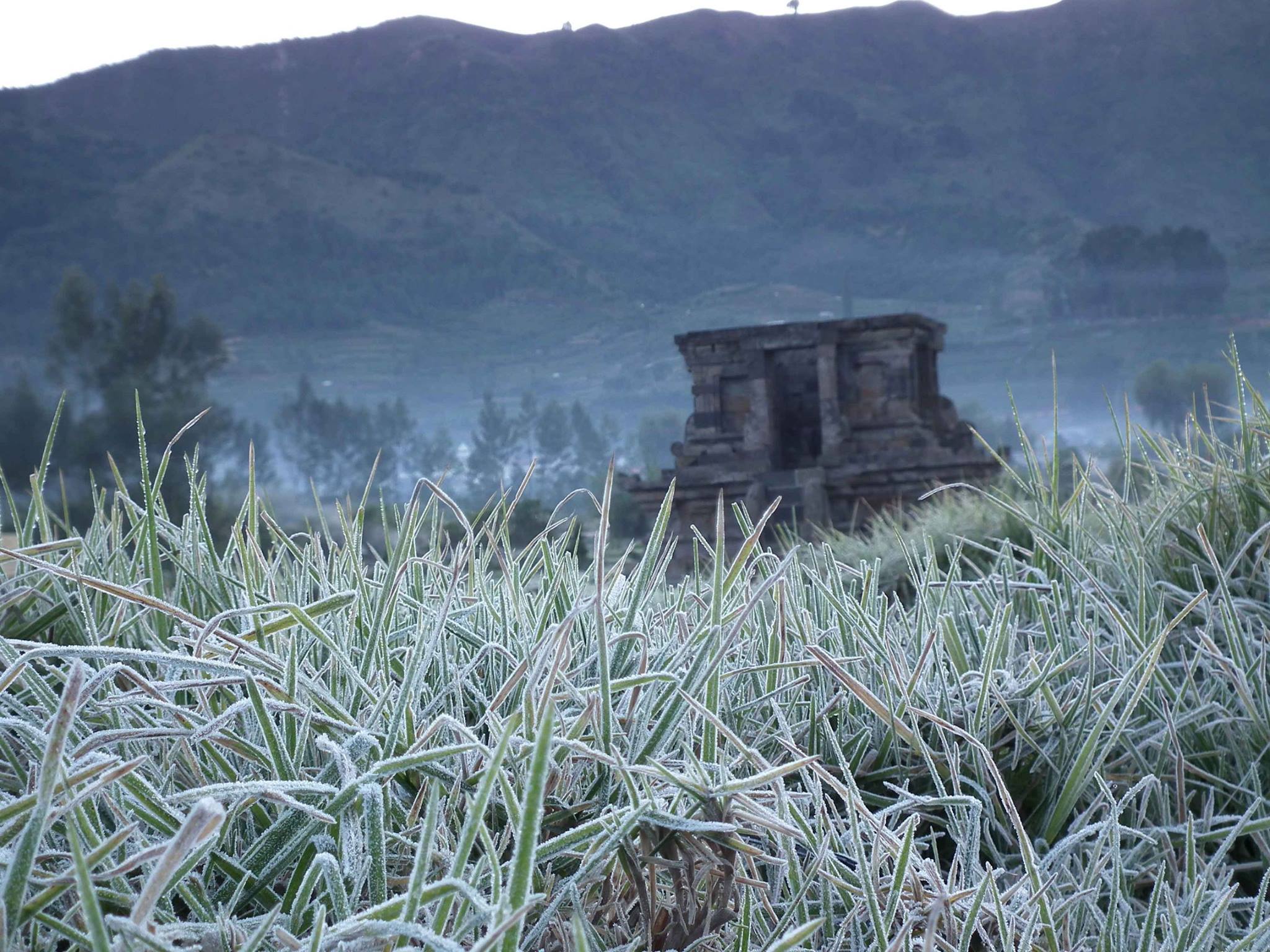 Dieng Plateau